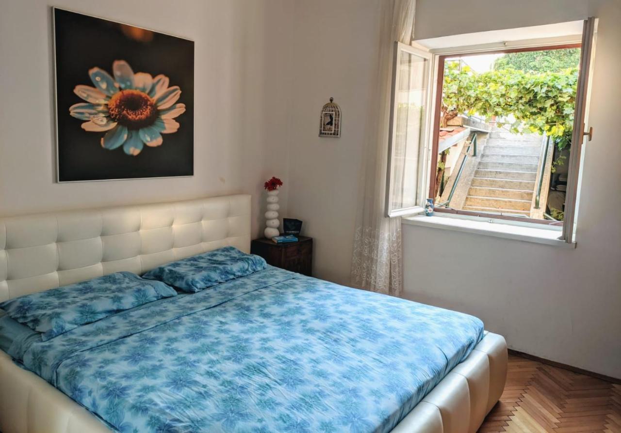 Glorianita Sweethome,Centro, Free Parking,Self Check- In Шибеник Екстер'єр фото